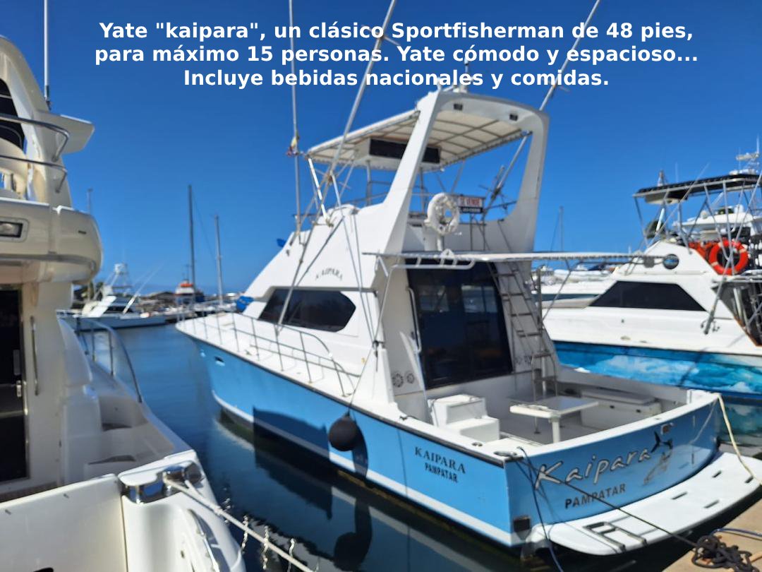 Yate Kaipara, un clásico Sportfisherman de 48 pies, máx 15 personas, cómodo y espacioso, bebidas nacionales y comidas